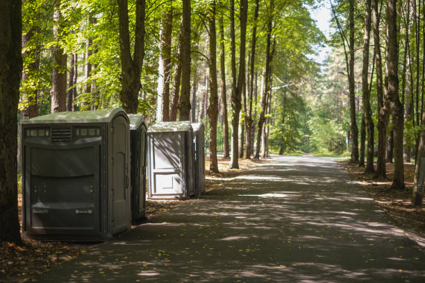 Best Portable bathroom rental  in Spring Grove, MN